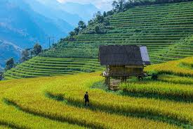 Northwest Vietnam Cycle Tour Lao Cai, Sapa, Lai Chau 4 Days